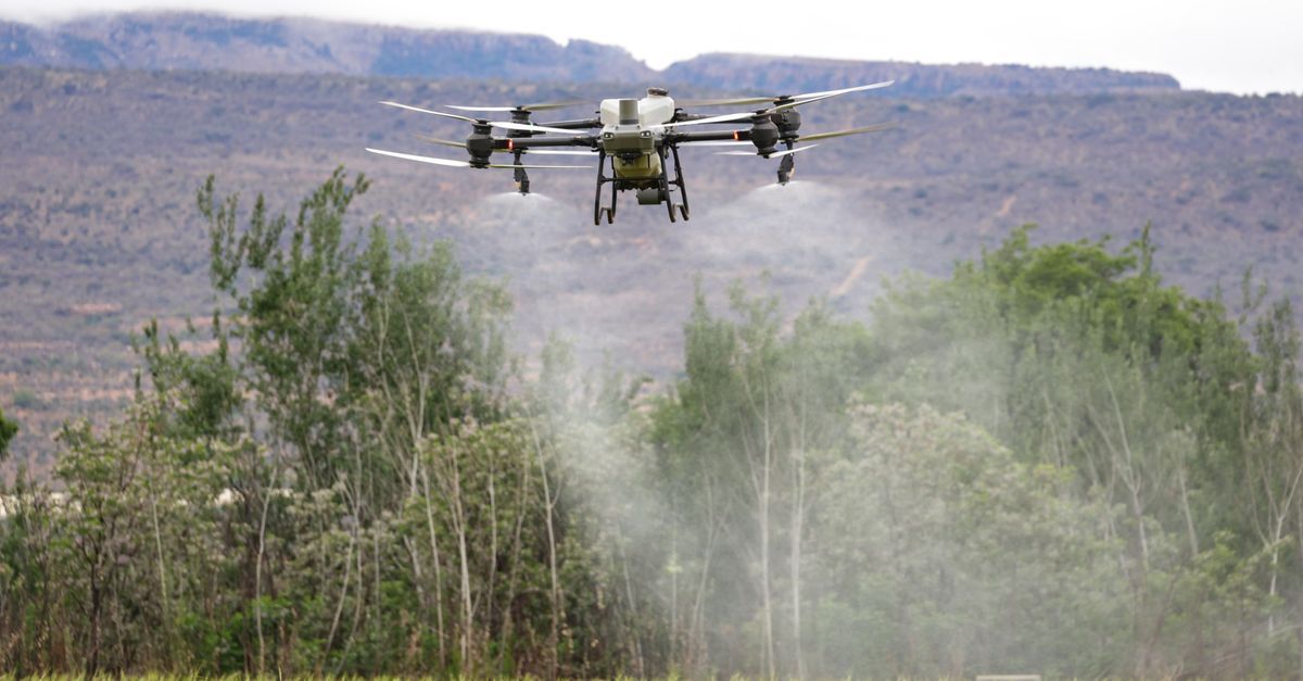 Africa's Climate Tech Boom